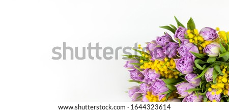 Bouquet of lilac tulips and yellow mimosas on white background, copy space, side view, closeup. March 8, February 14, birthday, Valentine's, Mother's, Women's day celebration, spring concept. Banner.