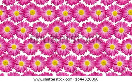 A pattern of pink gerbera flowers on a white background. greeting card