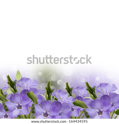 Abstract spring background for design. Easter/summer background. Floral background.