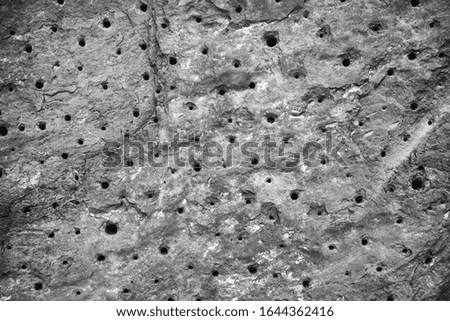 Stone wall with holes, construction and architecture, tryphobia
