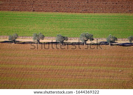 Aerial view of crop fields in Majorca, Balearic Island, Spain.