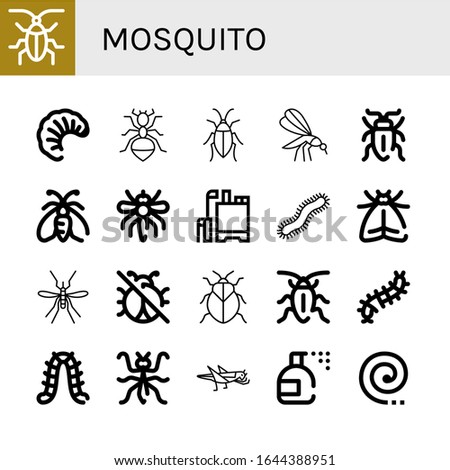 Set of mosquito icons. Such as Cockroach, Larva, Ant, Mosquito, Sap beetle, Moth, Pesticide, Centipede, No insects, Stink bug, Scolopendra, Caterpillar, Mantis , mosquito icons
