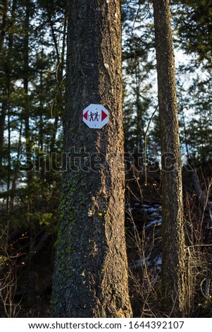 Trail marker on trees in Oyama, BC