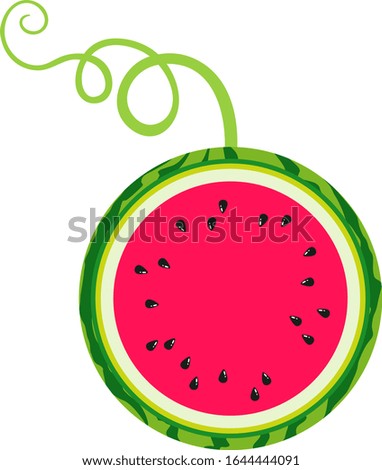 Red round slice of watermelon
