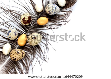 Quail eggs motley coloring, gold and white  candies lying on a large feather. Creative minimal trend concept or background of food, Easter. Copy space.
