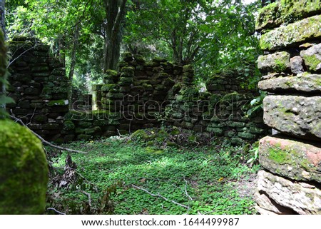 old wall of a building in ruins in Misiones Argentina 