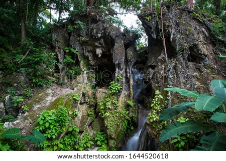 river beautiful Waterfalls of Tamasopo san luis potosi mexico