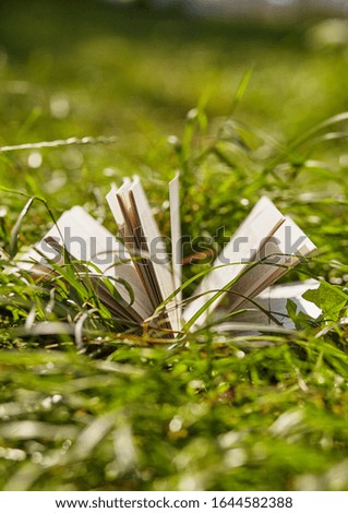 opened book on grass .that are sunlight