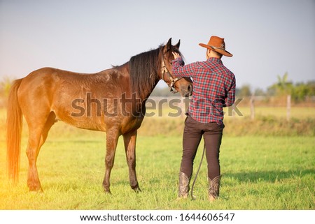 cowboy and brown horse on green field in sunny day