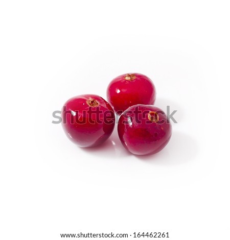 cranberry isolated on white background 