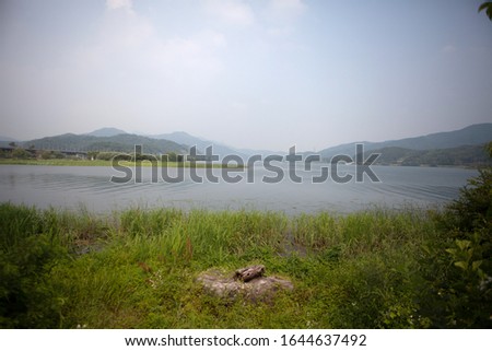 River and trees and grass at Yangpyeong Dumulde head