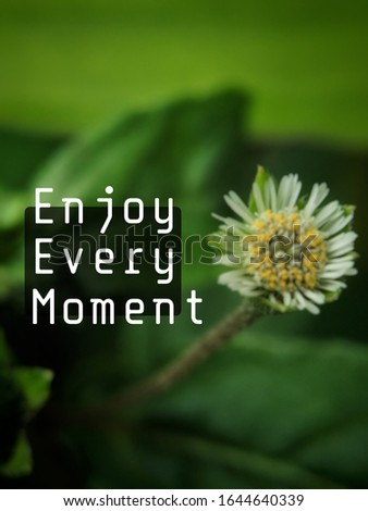 Inspirational and motivational quotes "Enjoy Every Moment", with blurry nature background.