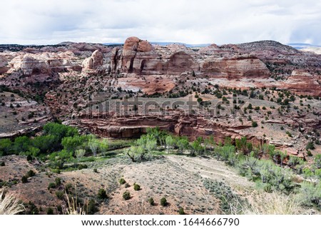 View of the Calf Creek Canyon from the Calf Creek Viewpoint along highway 12 - Grand Staircase - Escalante National Monument in Utah, USA Royalty-Free Stock Photo #1644666790