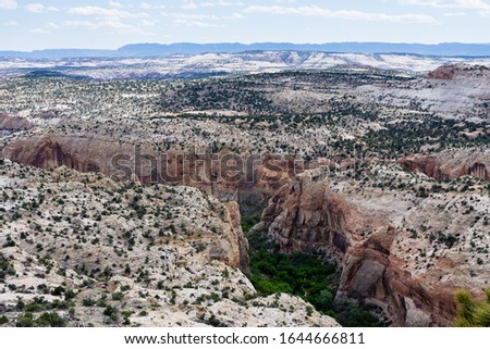 View of the Calf Creek Canyon from the Calf Creek Viewpoint along highway 12 - Grand Staircase - Escalante National Monument in Utah, USA Royalty-Free Stock Photo #1644666811