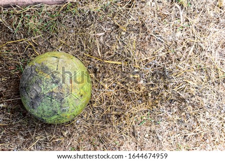 my old ball on the dry grass in  oldschool memory