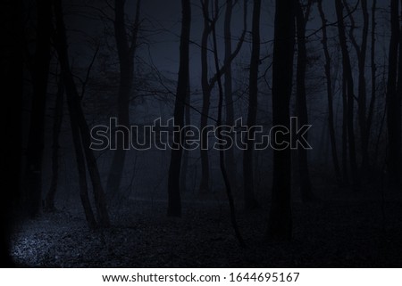 black blue dark picture of foggy forest with light from left side lighting to road and trees into fog