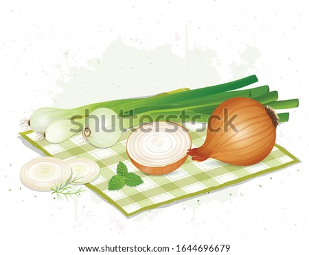 Yellow and Green onion with mint leaves on a napkin cloth