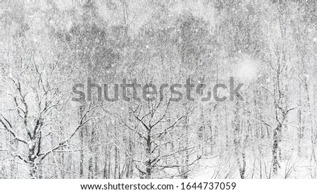 panoramic view of heavy snowfall over forest in winter