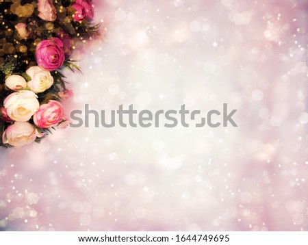 spring backgroung flowering peonies flowers floral blossom nature and abstract bokeh                             