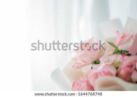 Nature of rose flower in garden using as background natural flora valentine's day wallpaper
