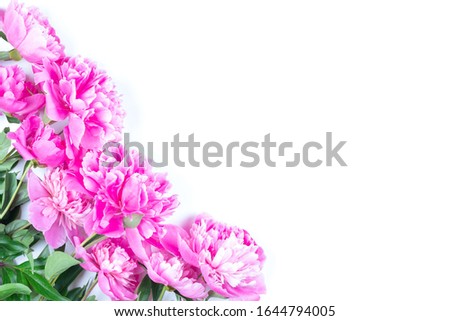a bouquet of pink peony flowers isolated on a white background with a copy space