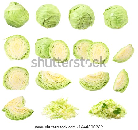 cabbage collectioin. green cabbage isolated on white background. healthy food Royalty-Free Stock Photo #1644800269