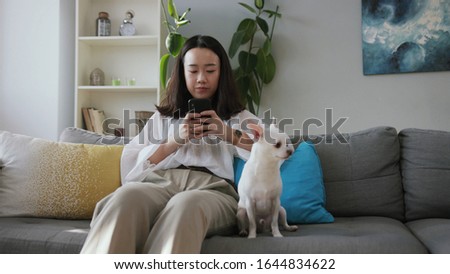 Footage of gorgeous young woman with black hair using smartphone. Girl and lovely Chihuahua sitting on couch. Good mood. Indoors. Modern apartment.