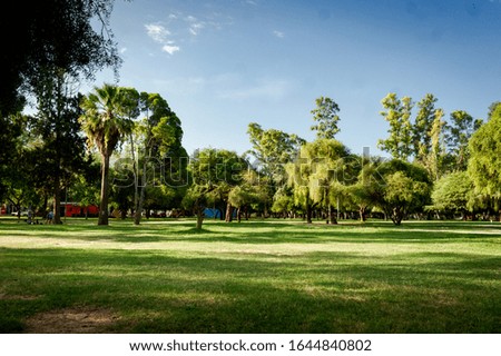 park with trees and clear sky