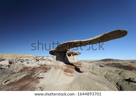 King of Wing, amazing rock formations in Ah-shi-sle-pah wilderness study area, New Mexico USA 