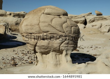 Strange Rock Formation in Bisti Badlands New Mexico