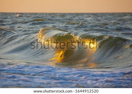 The sea wave is illuminated by the sun at sunset. Azov sea. South of Russia.