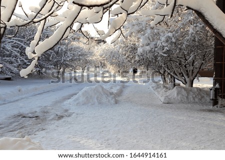 Winter landscape. Snowy streets of the city of Donetsk. Snow-covered paths of the Petrovsky district.