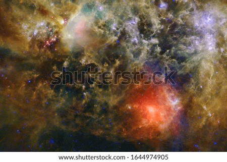 Cluster of stars in deep space. Milky way galaxy. Elements of this image furnished by NASA.