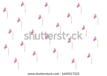 White background filled with animated pink flowers, profile shot