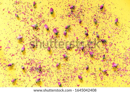 Dried pink rose petals on a yellow background. Banner, poster template. Flat lay. Template for writing greeting text. Mock up for design purposes 