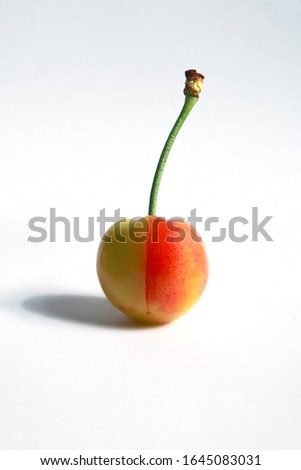 Half ripe cherry on white background, illustration picture for snow white; color photo.