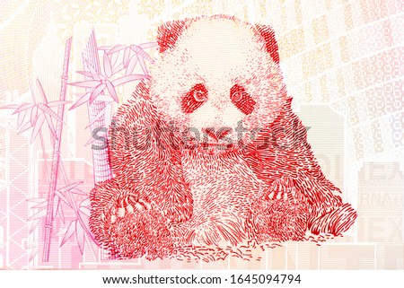 Portrait from China bank note Trial print, panda Beijing International Coin Exposition 2018 - 2019 Banknotes. 