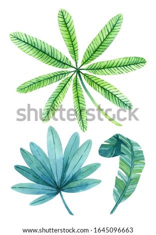 Watercolor set of lush greenery of tropical plants. Hand-drawn elements great for summer design of posters, cards decoration, invitations and other. Illustrations are isolated on white.