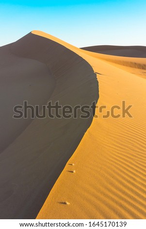 Sanddune at M'Hamid El Ghizlane desert, Morocco
