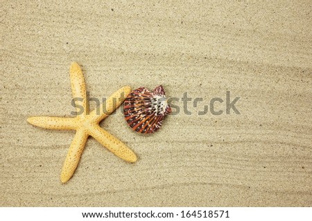 starfish and shells with frame on the beach, vacation memories