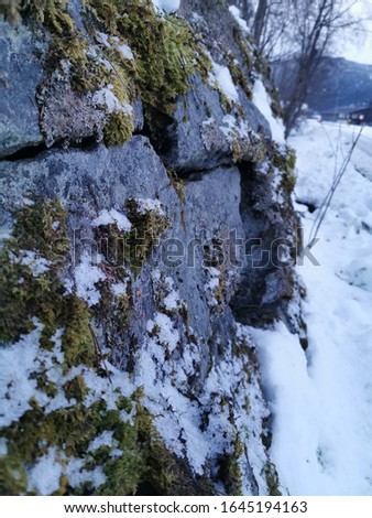 stone wall with moss and snow and some frost closeup picture in norway