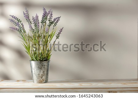 Spring fresh flowers on desk and blurred background of wall with shadows. Copy space for your product. 