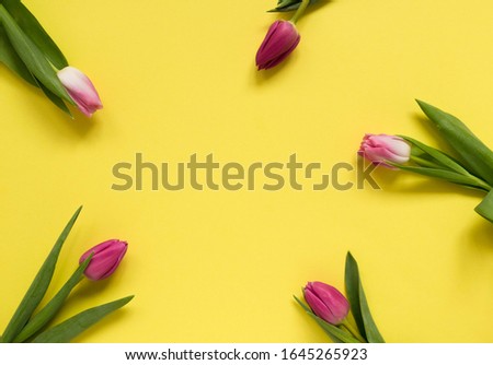 Beautiful spring tulips on yellow background. Concept of Valentines day, Women's Day March eight, Mothers day. Space for text, flat lay.