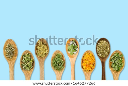 Lot of different dried medicinal herbs on wooden spoons in a line isolated on blue background. Copy space and room for text.