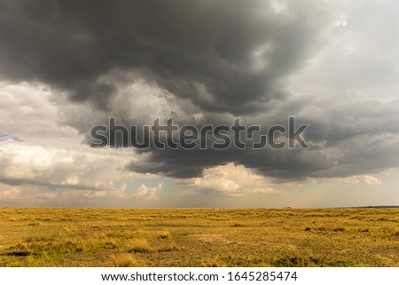 A storm rolls in over Masai Mara