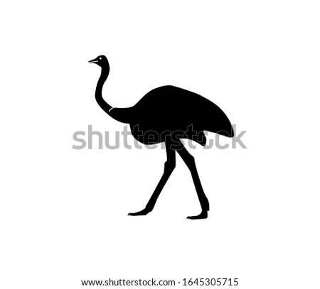 Vector ostrich silhouette. Isolated white background. For coloring or packaging design