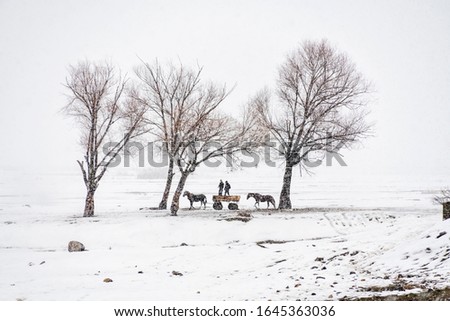 A minimalist photograph in Black and White, in Winter, in Snowfall, Van, Turkey