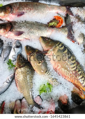 Raw fish on market counter