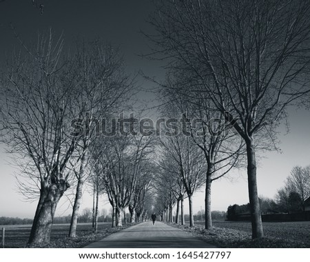 black and white picture of a guy running away, being small compared to how big the trees are