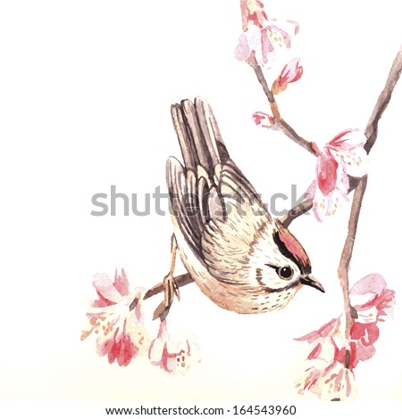 Vector watercolor spring bird. Illustration for greeting cards, invitations, and other printing and web projects.